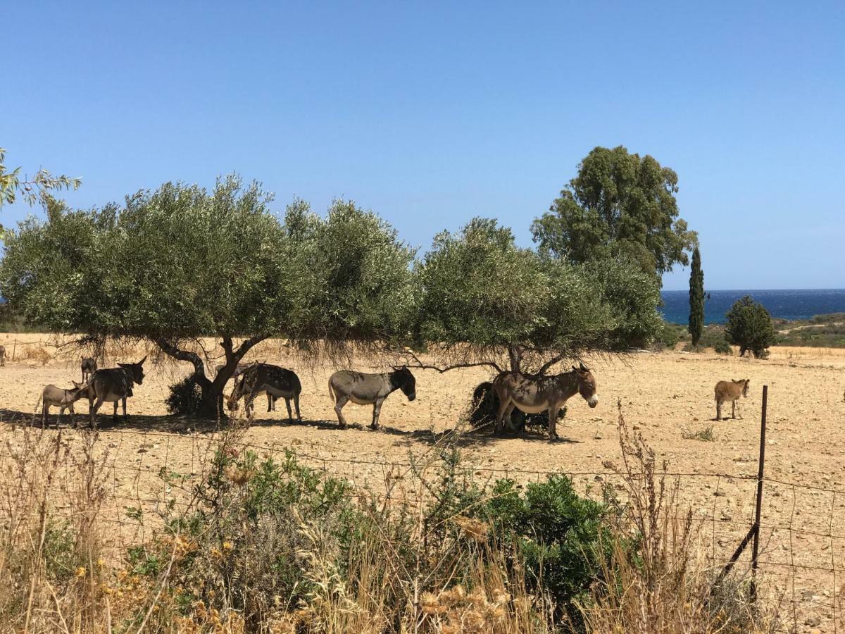 Villino Aurora Villa Villaputzu Dış mekan fotoğraf